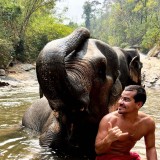 Photo-by-Thiago-martins--FA-CLUBE--on-March-07-2023.-May-be-an-image-of-1-person-elephant-and-outdoors.-1